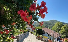 La Casa Di Gloria - Residence Affitta Camere